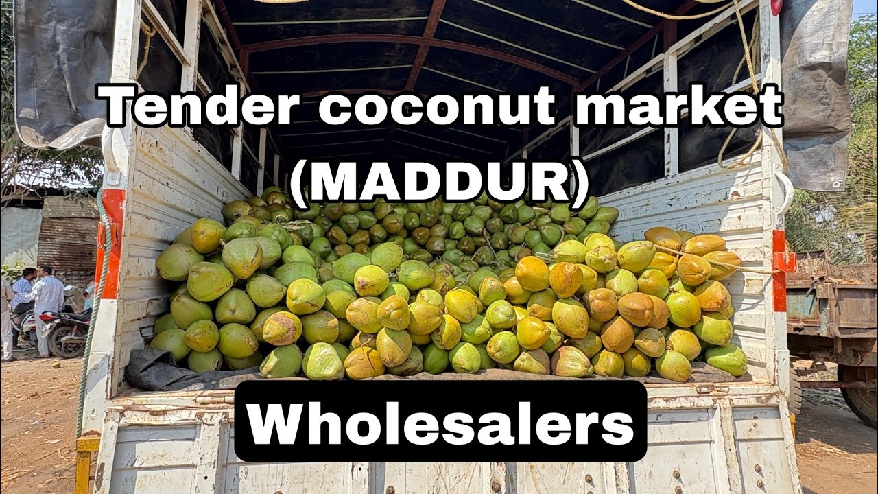 Tender coconut market maddur, exporting to Maharashtra, 21/02/2025,#maddur #maharashtra #mandya