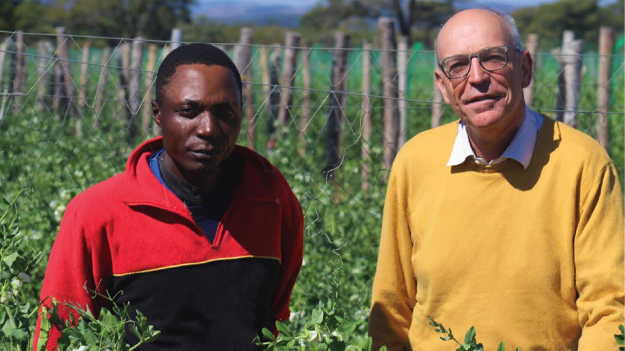 Growing together: Zimbabwe and Dutch Agribusiness