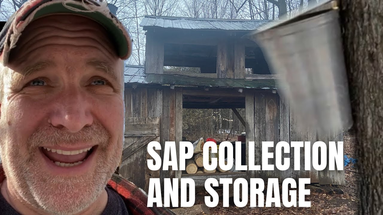 Сбор и хранение данных SAP || Серия рецептов приготовления кленового сиропа