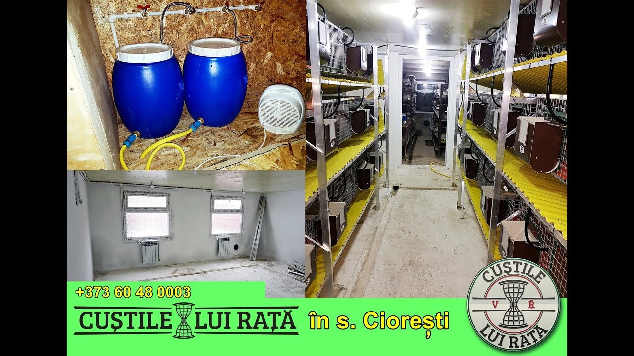 Custile lui Rata - în satul Ciorești, r. Nisporeni (03.03.2018)