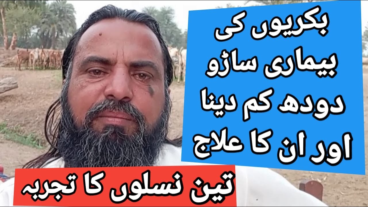 بکریوں کی بیماری ساڑو دودھ کم دینا  اور ان کا علاجDiseases goats, low milk yield and their treatment