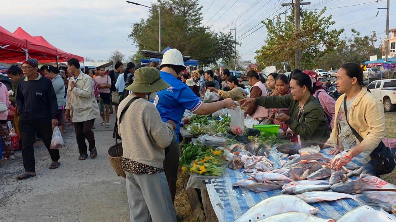 #ของป่า #ปลาโขง ตลาดนัดเช้าบ้านหัวนา อ.เขมราฐ จ.อุบลฯ