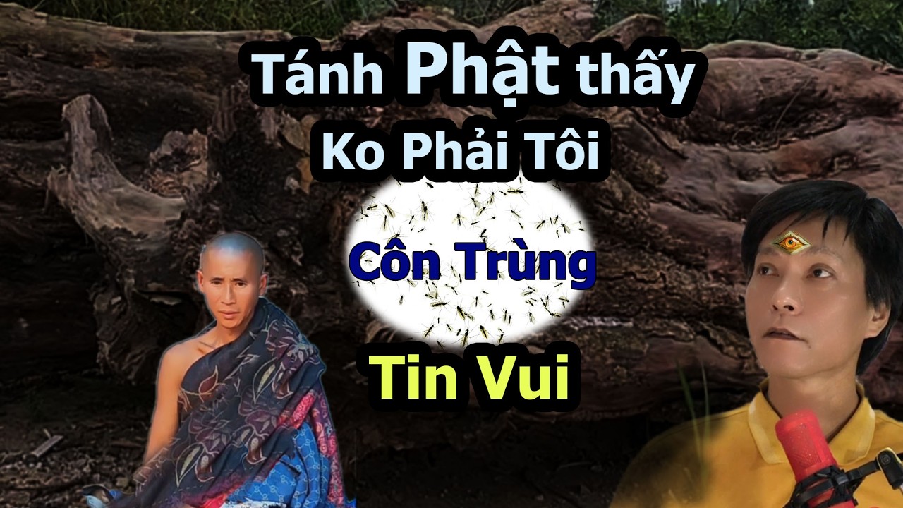 Lý Do Độc Lạ Sư Minh Tuệ Dừng Họp Báo.Tánh Phật thấy Hoàng Sáu TV, Sông Lam