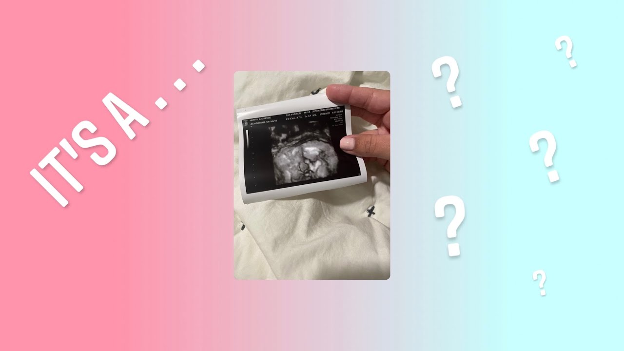 WE FOUND OUT THE GENDER OF OUR BABY | the harris fam |