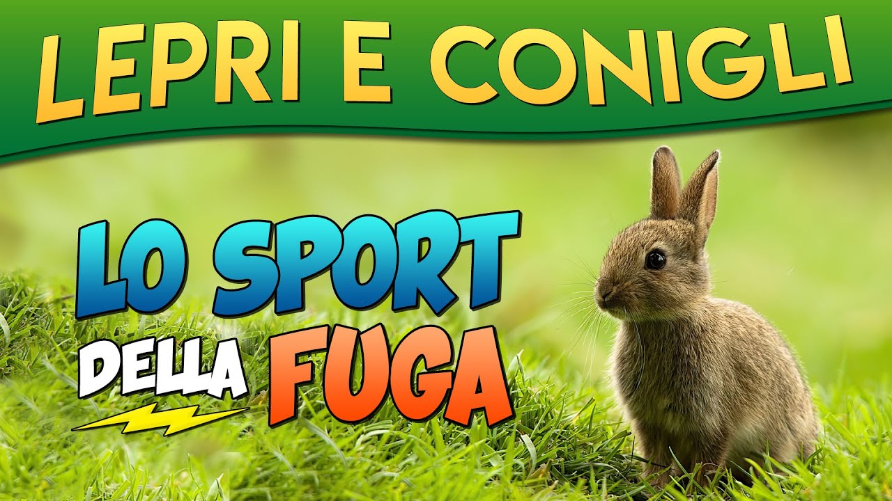 Lepri e Conigli, lo sport della fuga ► Puntata 16