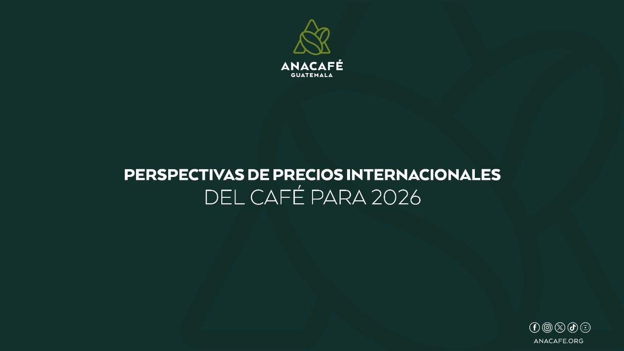 Seminario web | Perspectivas de precios internacionales del café para 2026
