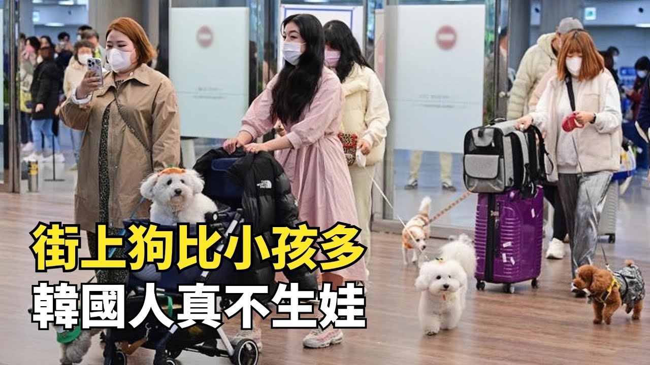韓國人真不生娃了，131家小學新生入學率為0，再不生就面臨滅絕？