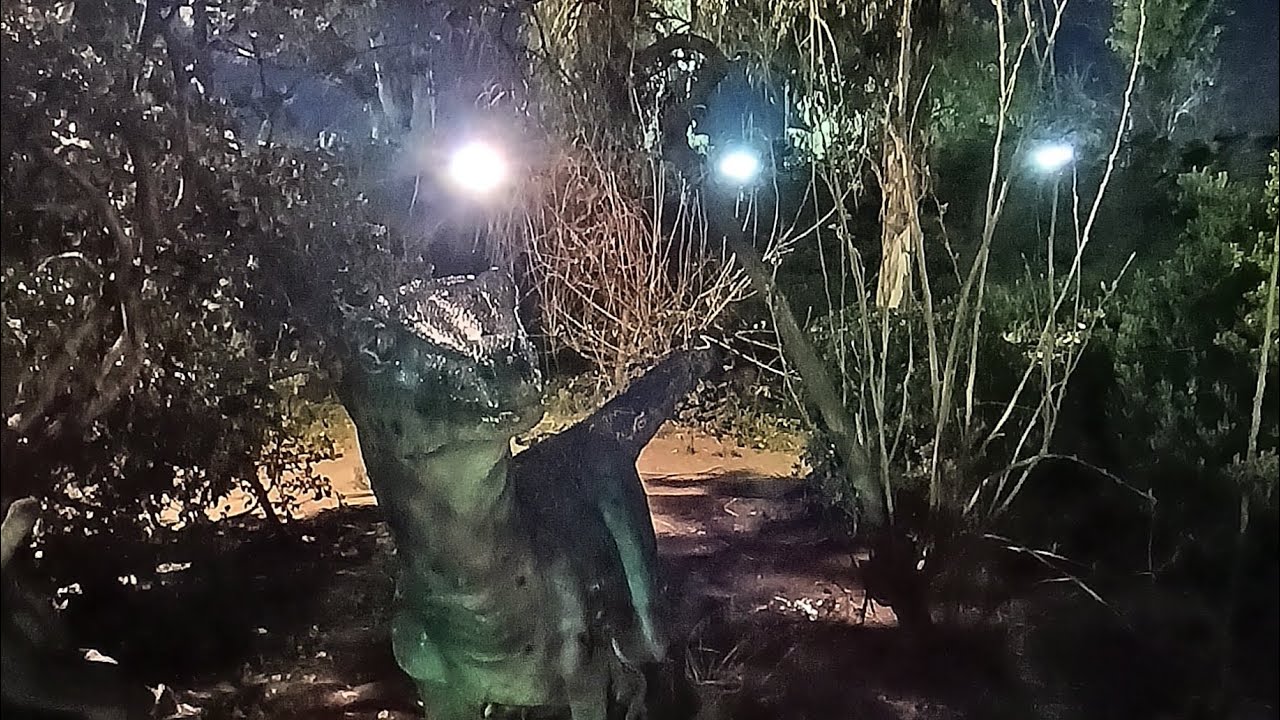 Un Paseo por la Prehistoria y otros rincones del Oeste ( Um passeio pela Prehistoria 