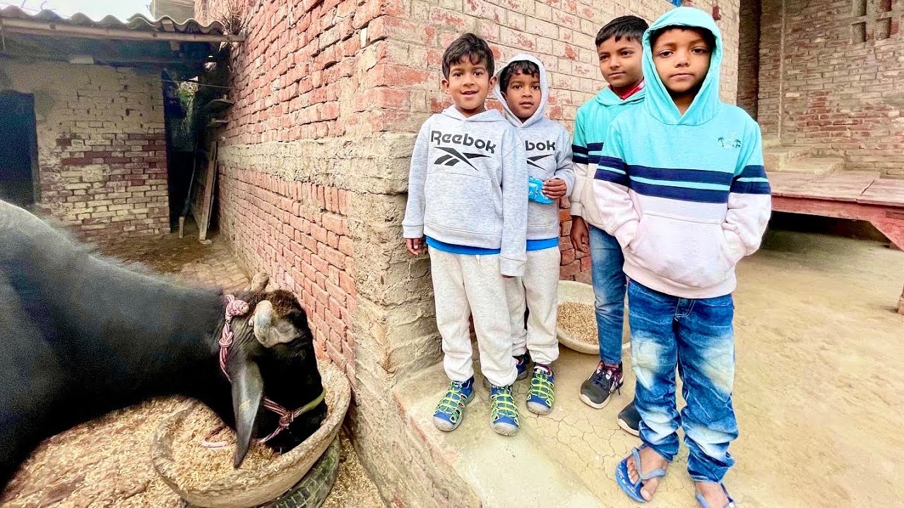 American Twins in India Village! पहला दिन मज़ेदार रहा Bharti Family Vlogs