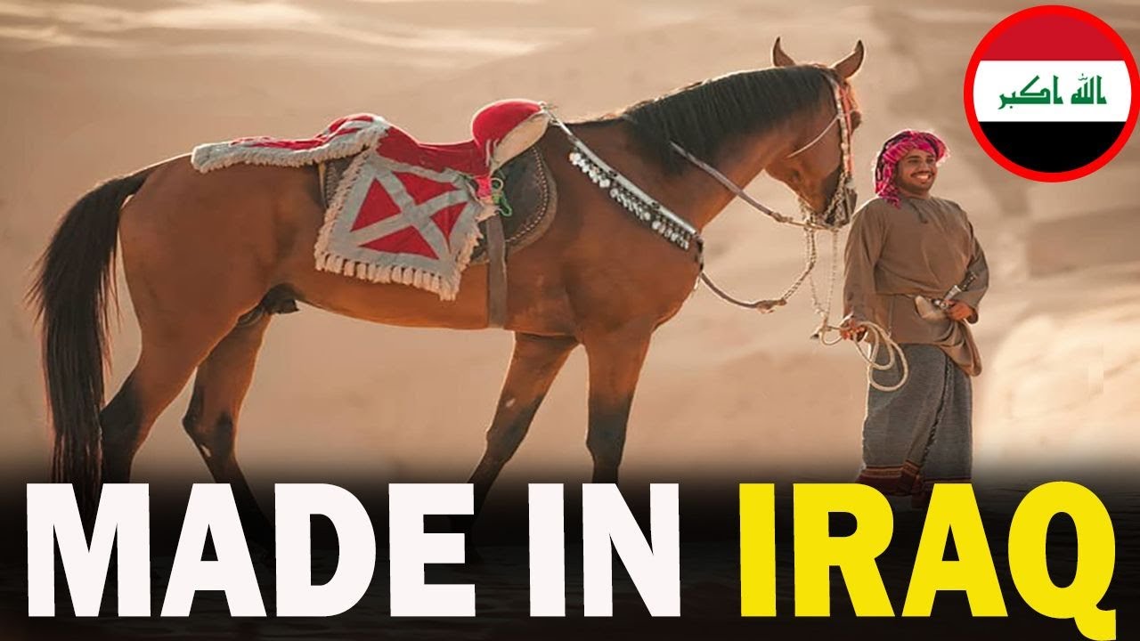 4 RARE Iraqi Origin Horse Breeds You Don’t Know About!!