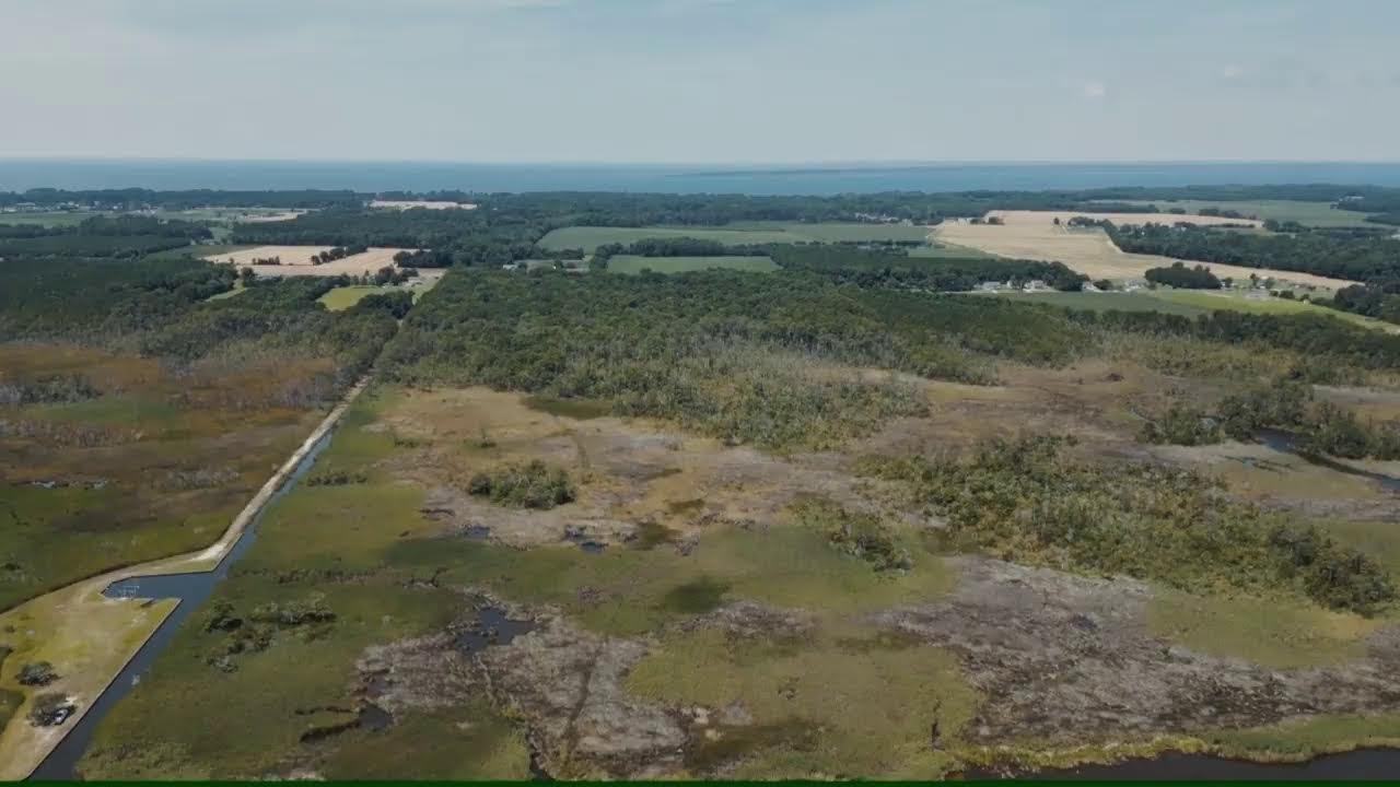 Outer Banks Real Estate Live | Active Lots & Homes in Corolla, Carova & OBX