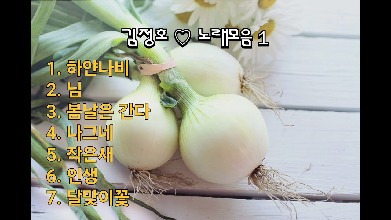#김정호 #노래모음 #하얀나비 #님 #봄날은간다 #나그네 #작은새 #인생 #달맞이꽃