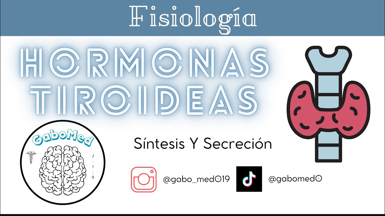 Fisiolog&iacute;a Endocrina - Hormonas Tiroideas (S&iacute;ntesis Y Secreci&oacute;n)