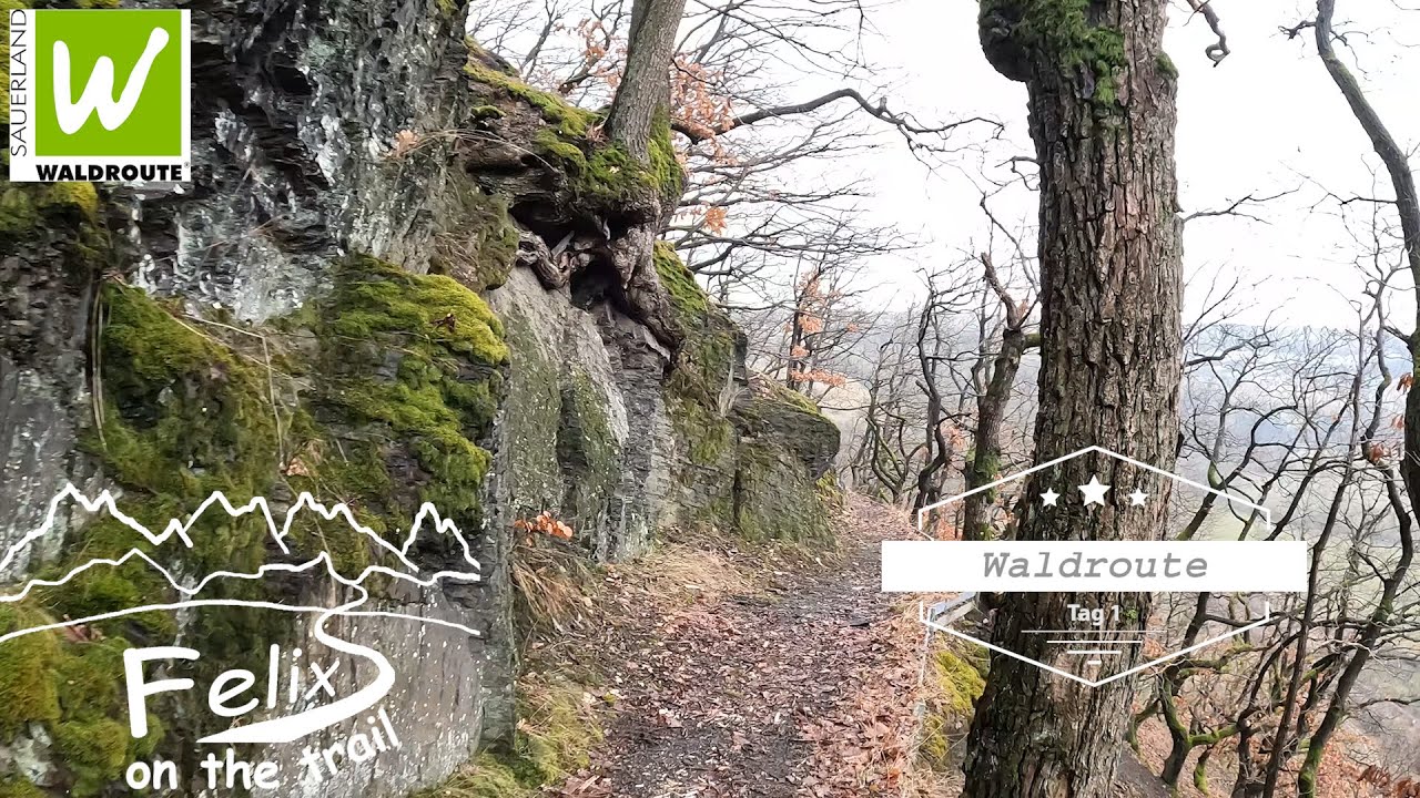 Sauerland Waldroute Tag 1: 16km von Marsberg bis Padberg