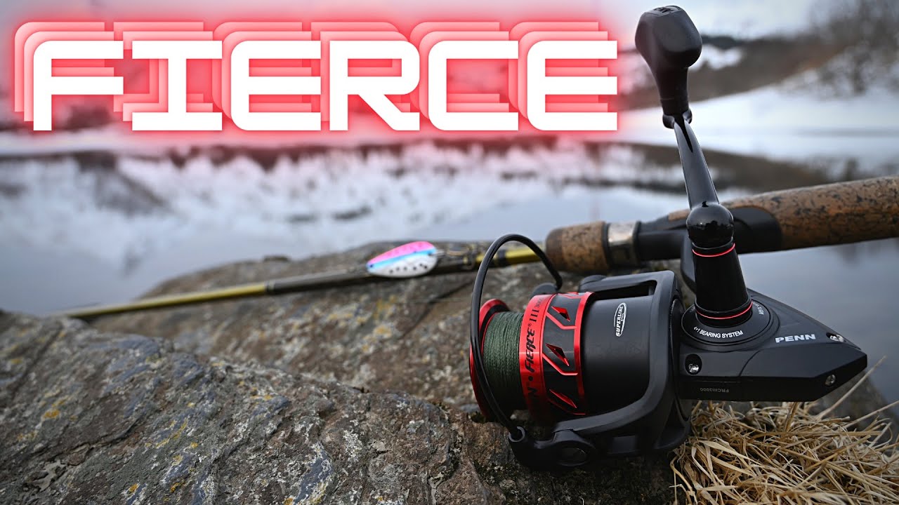 PENN Fierce 3: The best VALUE spinning reel?