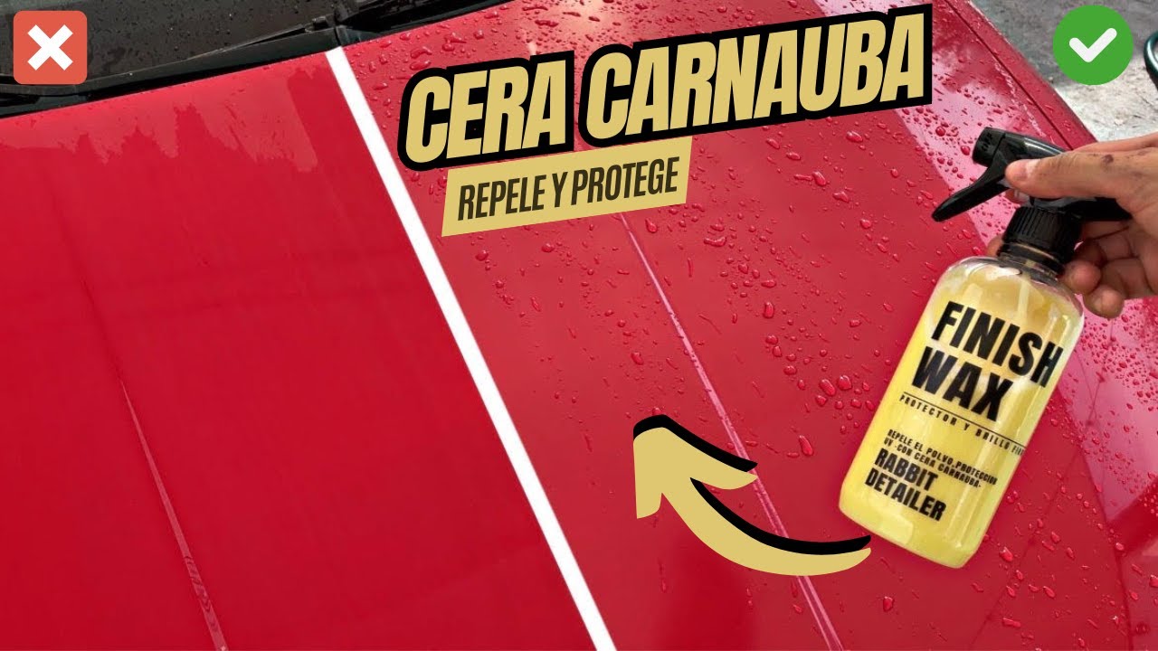 CERA LIQUIDA CARNAUBA CON REPELENCIA AL AGUA, POLVO Y PROTECCION UV / FINISH WAX