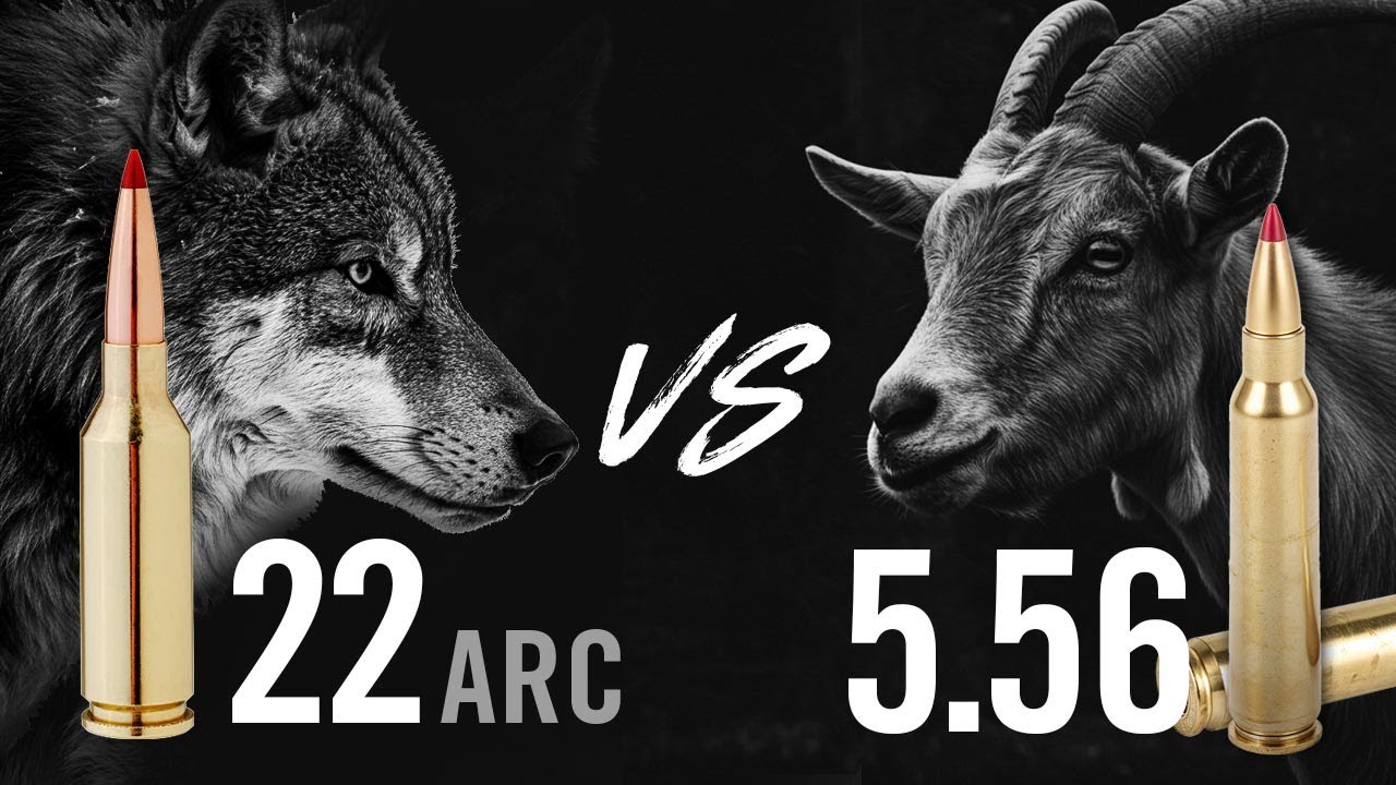 5.56 vs 22 ARC: Why More AR Shooters Are Making the Switch