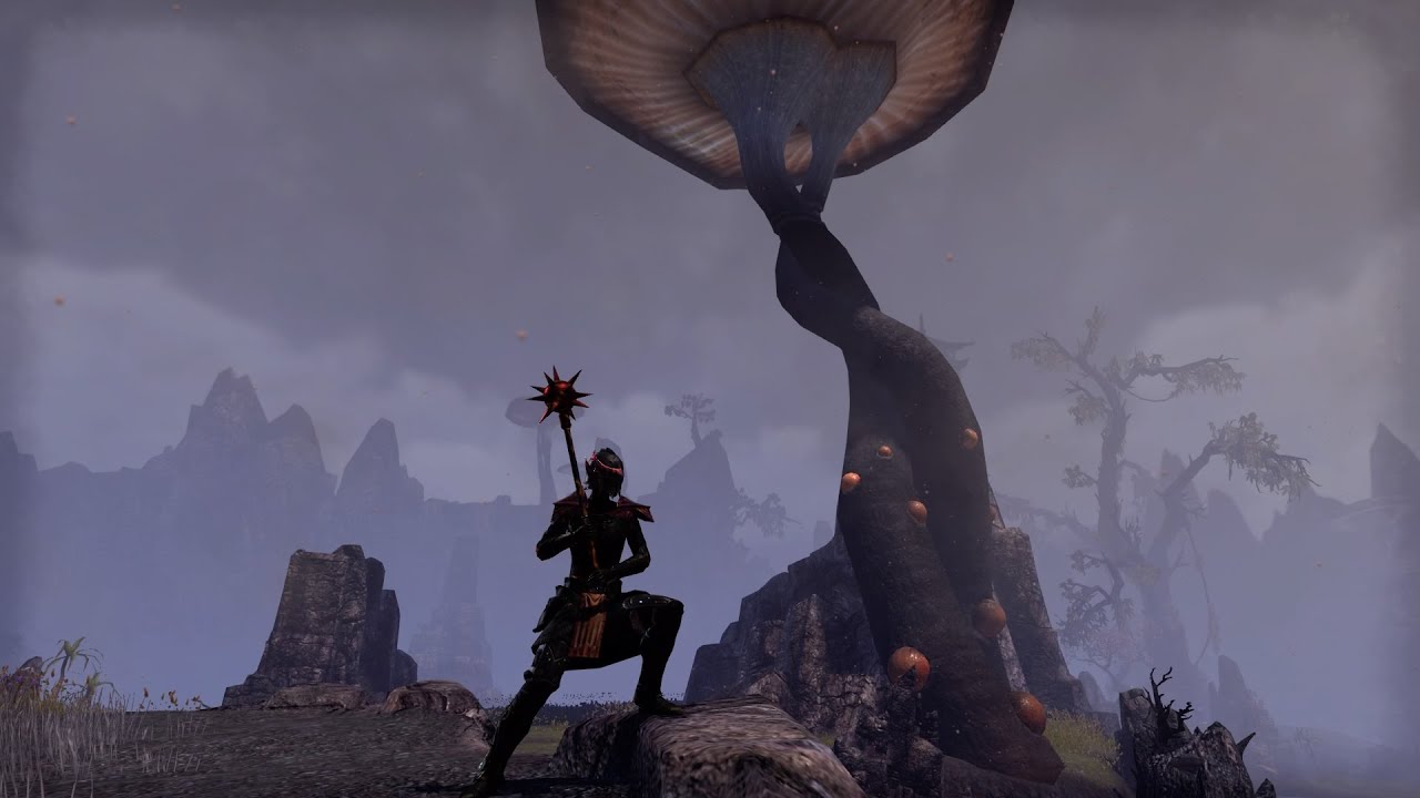 WHICH ARMOR IS RIGHT FOR ME? (ARMOR GUIDE - ESO FOR BEGINNERS)