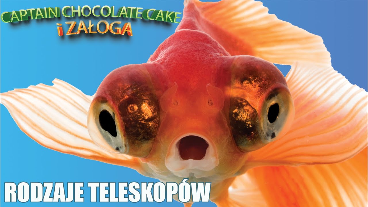 Rodzaje welonek teleskopowych oraz różne typy oczu welonów