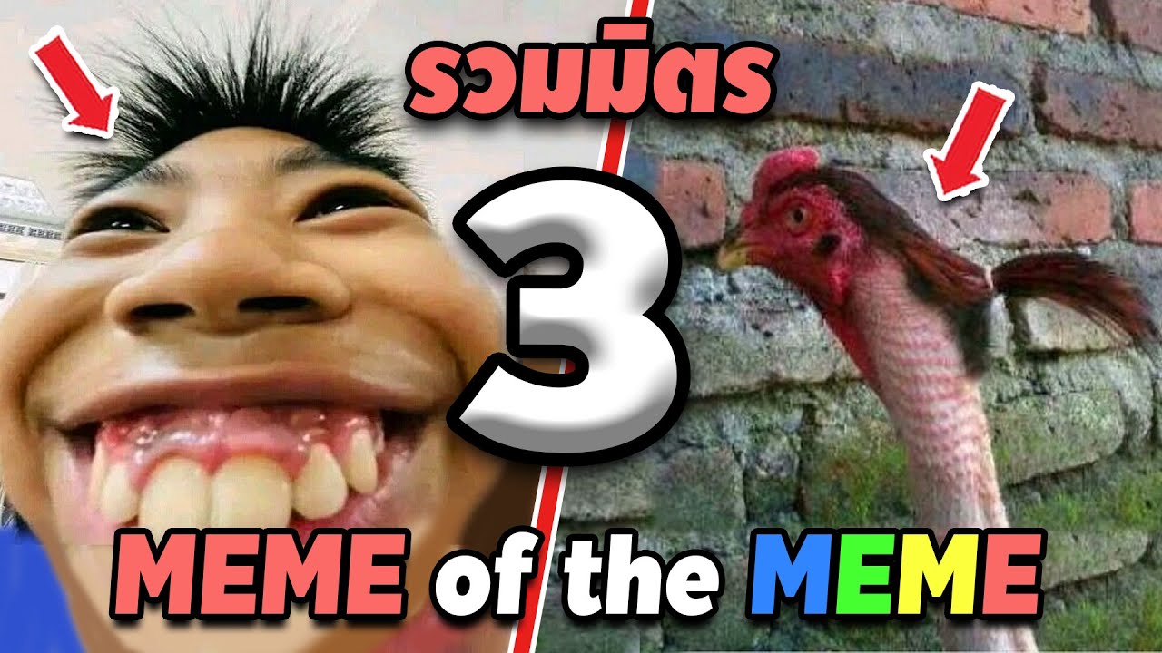 รวมมิตร ภาพนี้ก็ฮาเหมือนกันนะเนี้ย #3 SS2 [ พากย์นรก MEME.EXE ] | easy boy