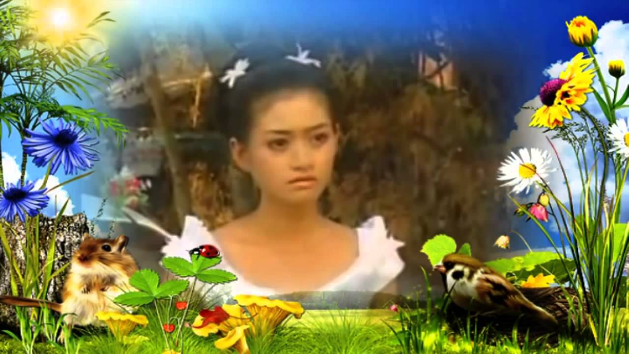 Ka Xe hoa - Van Quang Long