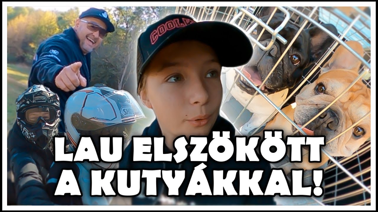 LAU ELSZÖKÖTT A KUTYÁKKAL!