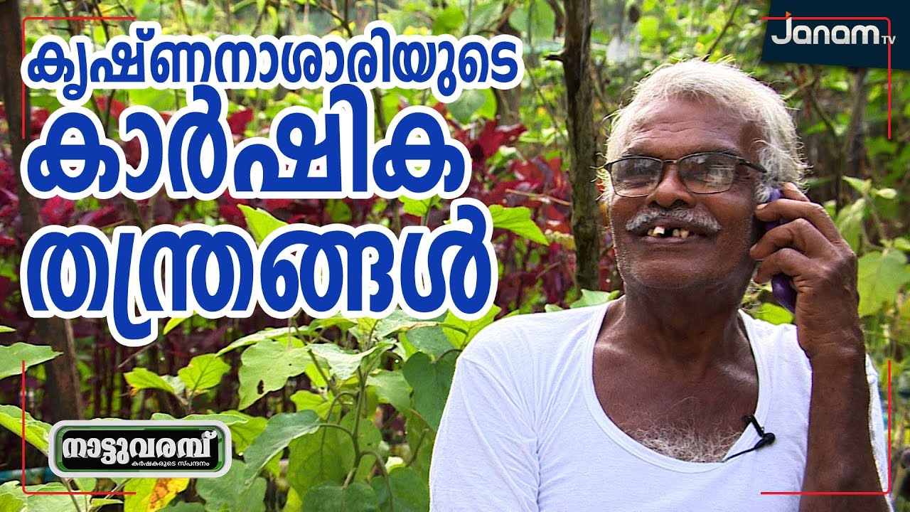 കൃഷ്ണനാശാരിയുടെ കാർഷിക തന്ത്രങ്ങൾ | NATTUVARAMBU | ORGANIC FARMING | JANAM TV