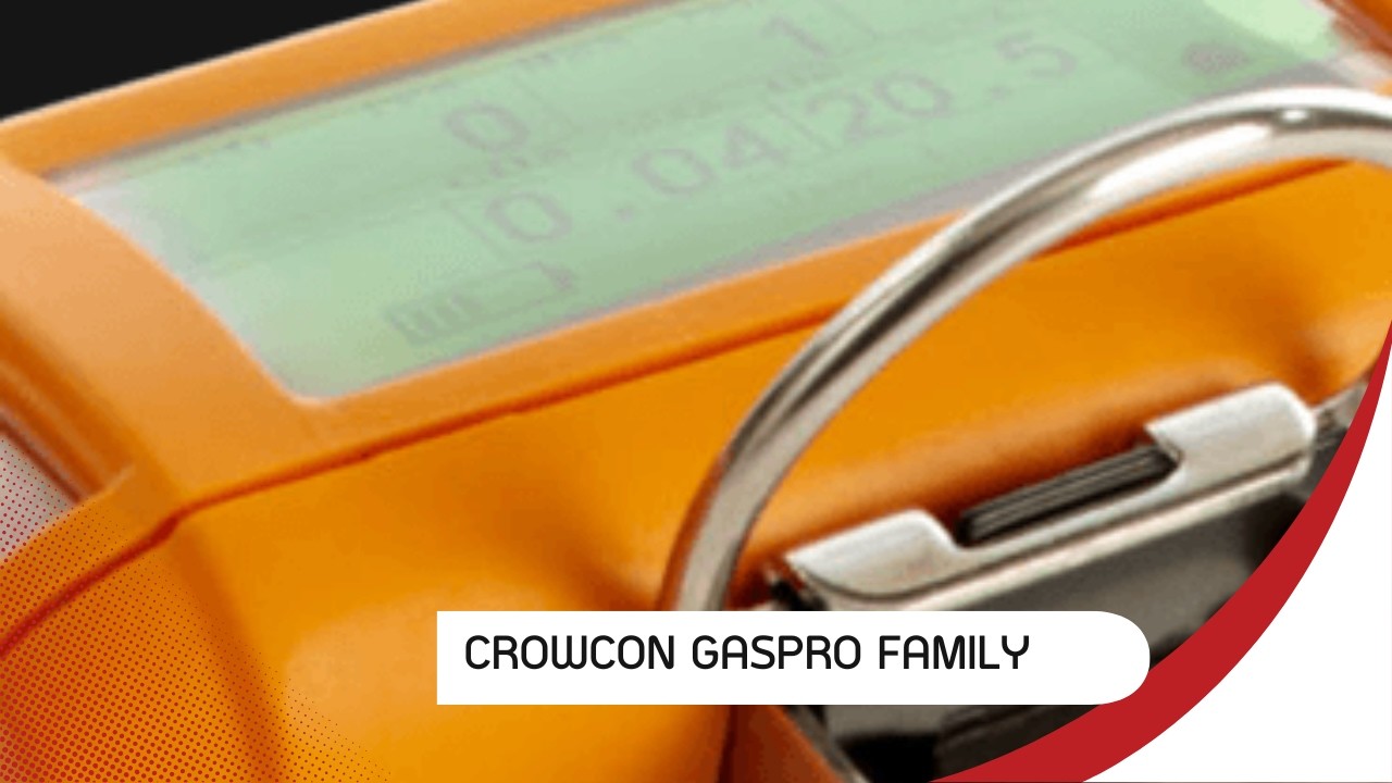 Crowcon GasPro Family: Versatile Multi-Gas Detectors