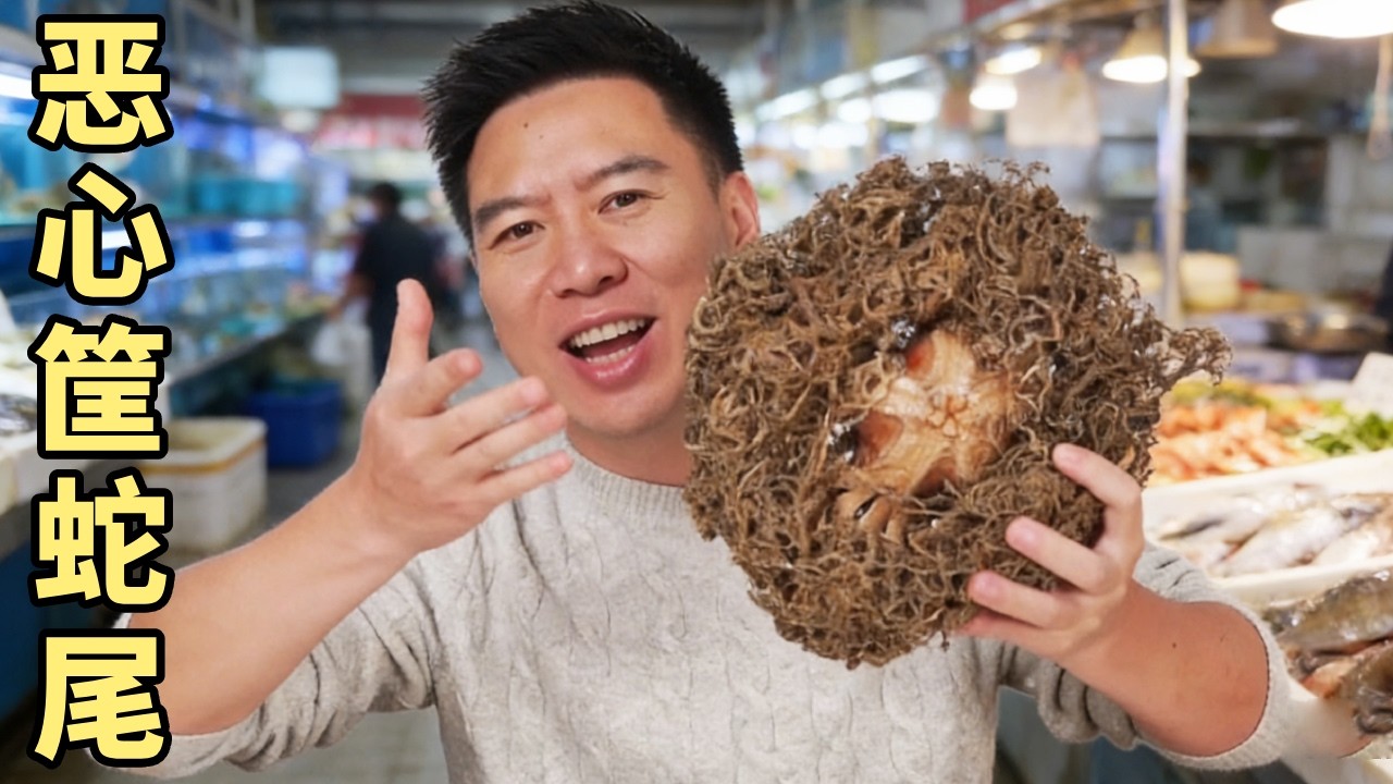 胆大试吃！挑战海洋十大恶心生物&rdquo;筐蛇尾！究竟会是什么味道？【小文哥吃吃吃】