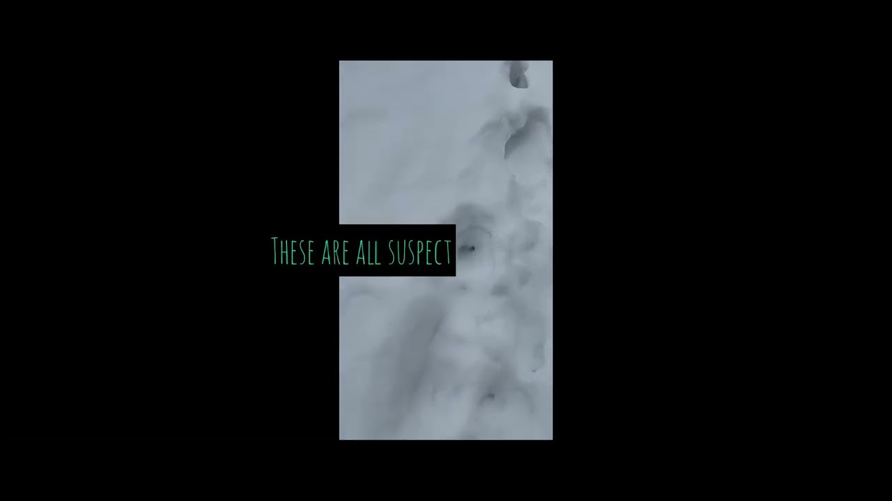 Footprints in the LAIR OF THE DOGMAN