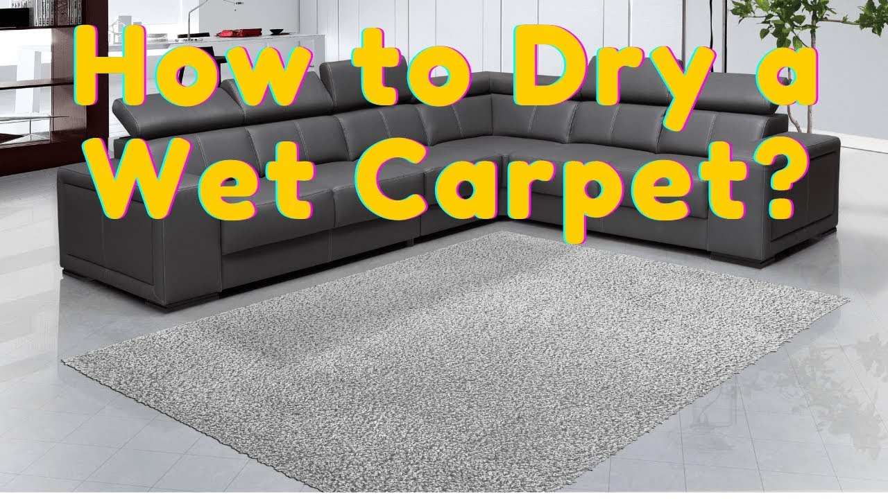 How to Dry a Wet Carpet?