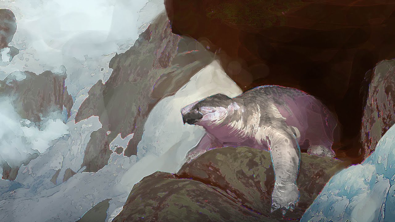 How Could Turtles Evolve to Survive the Cold?