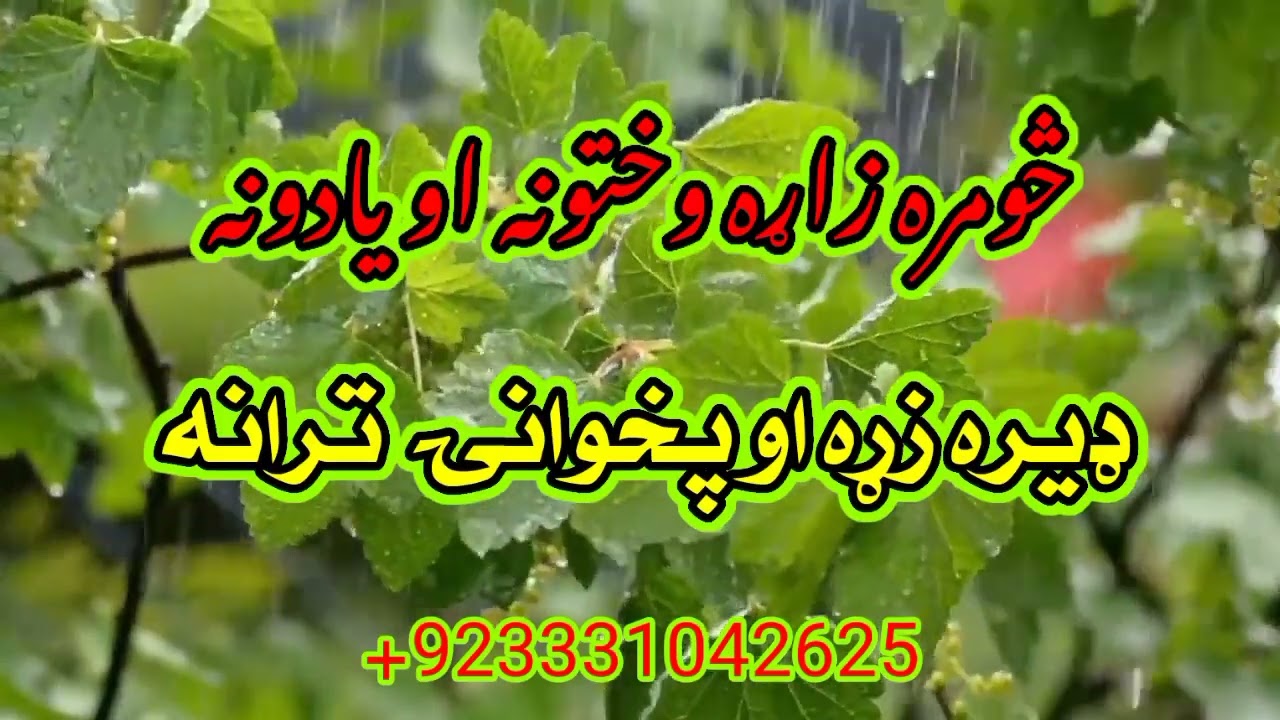 Zara Yadoona | زاړه يادونه | پښتو نعتونه تراني | poshto Jihadi Nazmoona | افغانستان اسلامي امارت نعت