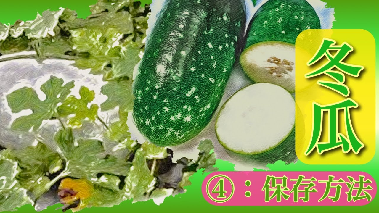 ｢冬瓜①｣ ⑷：保存方法[セル切り]