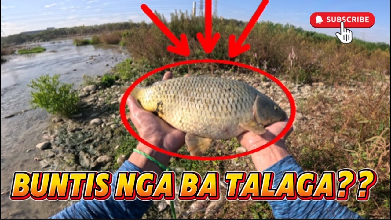 BUNTIS NGA BA TALAGA? O SADYANG MATATABA LANG SILA?