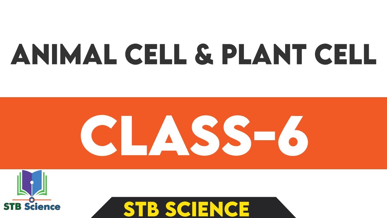 #Plant Cell & Animal Cell Difference#STB Science class 6.#STB Science#