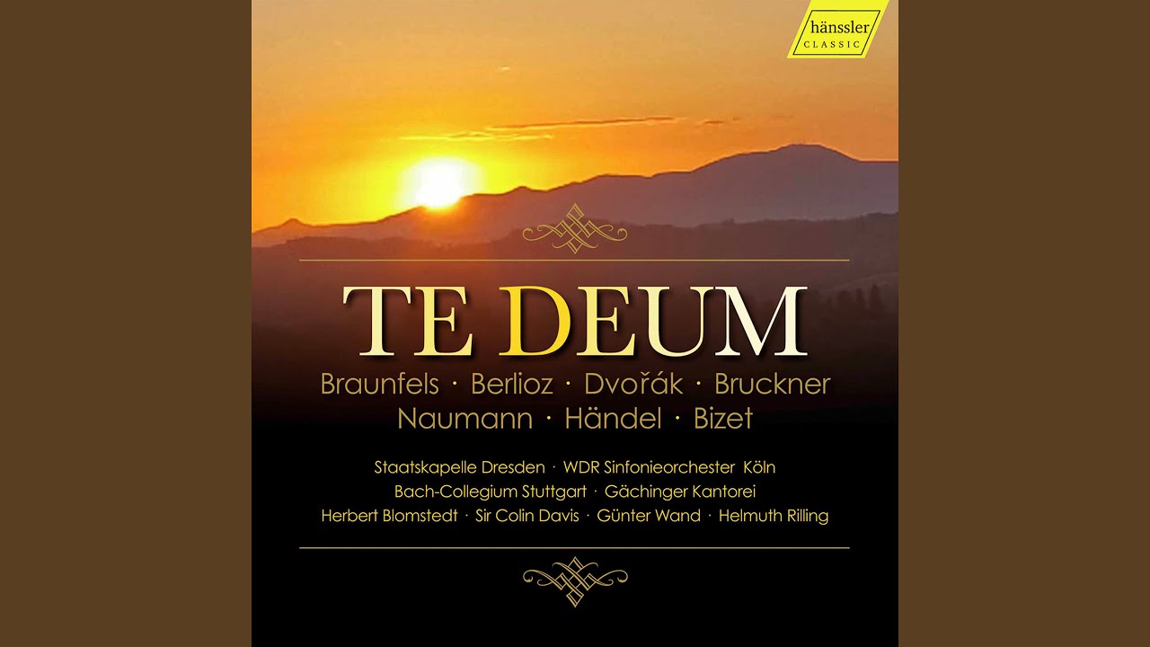 Te Deum, WAB 45: No. 5, In Te Domine Speravi