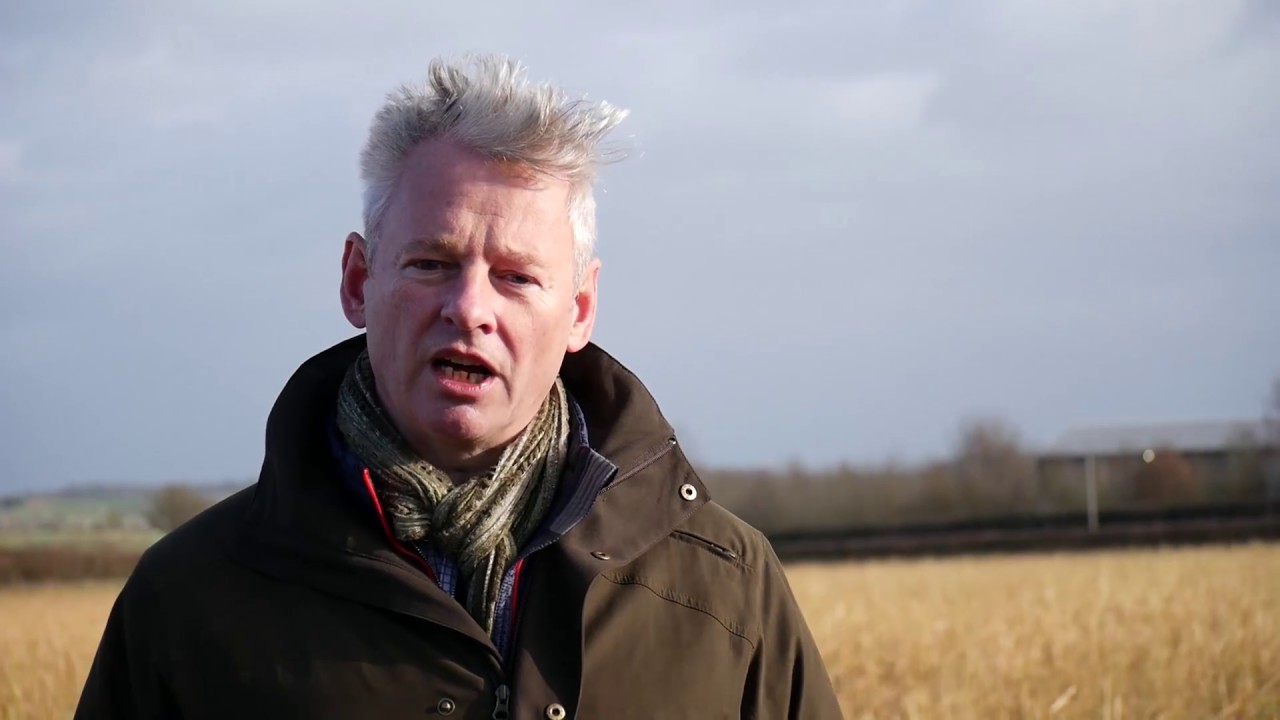 Farmers on the benefits of cover crops
