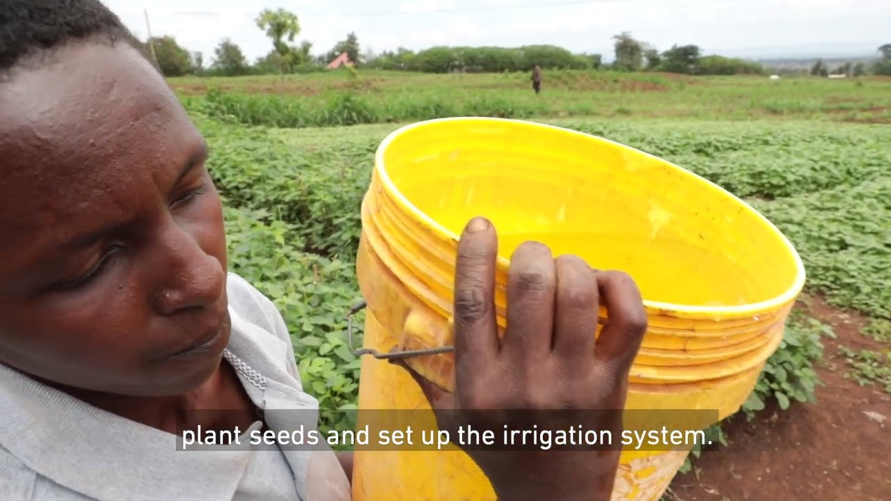 Economic Empowerment