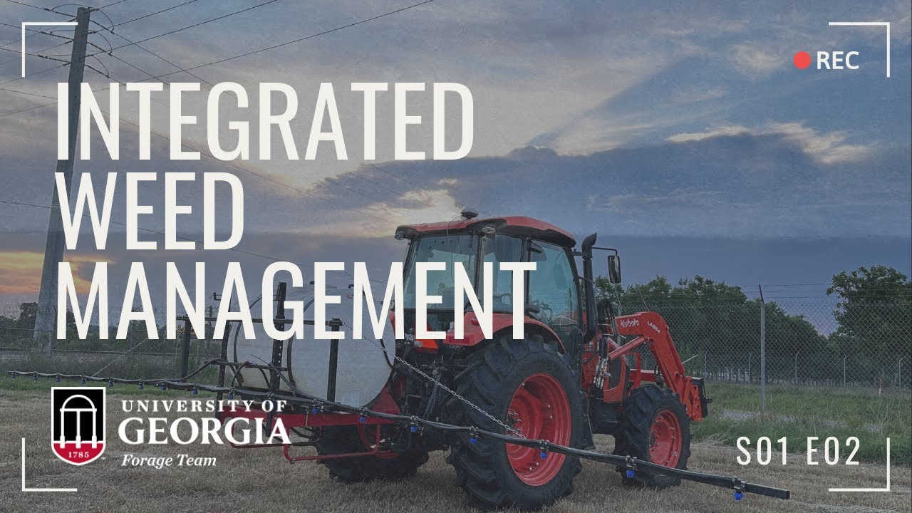 2024 Integrated Weed Management for Forage Systems