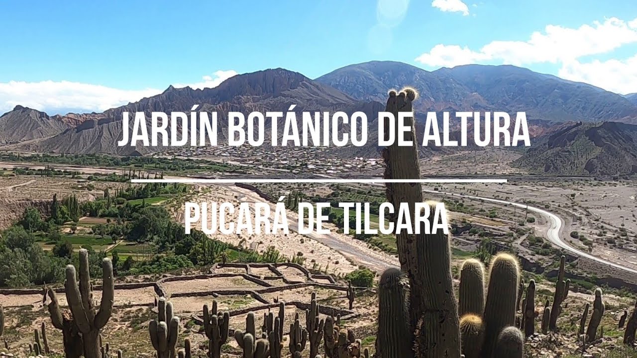 Jardim Botânico de Altura e Pucará de Tilcara - Argentina (viagem de moto -  dez/2022 e jan/2023)