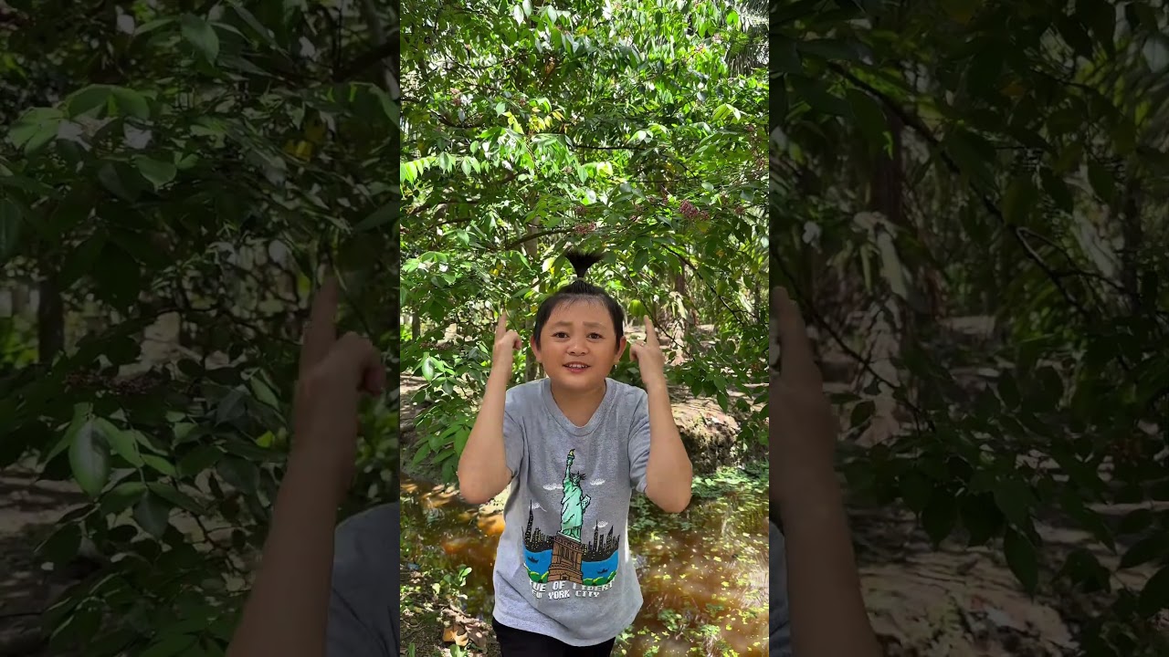 Thử Th&aacute;ch 6 Ng&agrave;y 6 Đ&ecirc;m Ăn B&aacute;nh M&igrave; || 6 Days 6 Nights Bread Challenge #shorts #shortvideo #haitihon