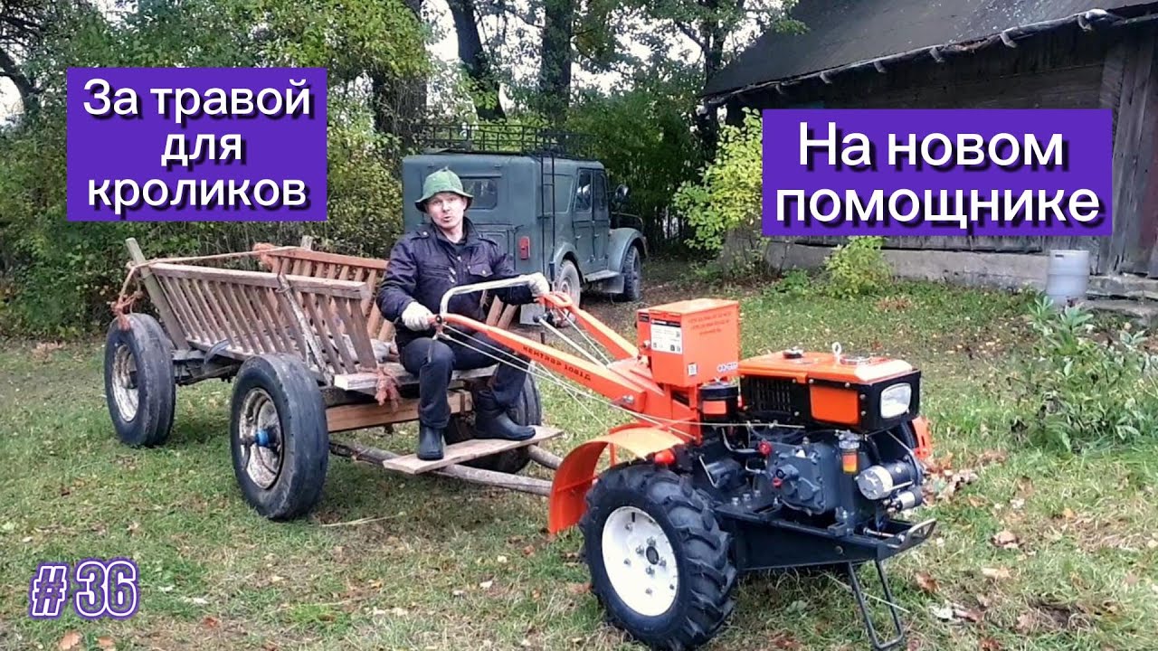 За травой для кроликов на новом помощнике. Обкатка нового дизельного тяжелого мотоблока.