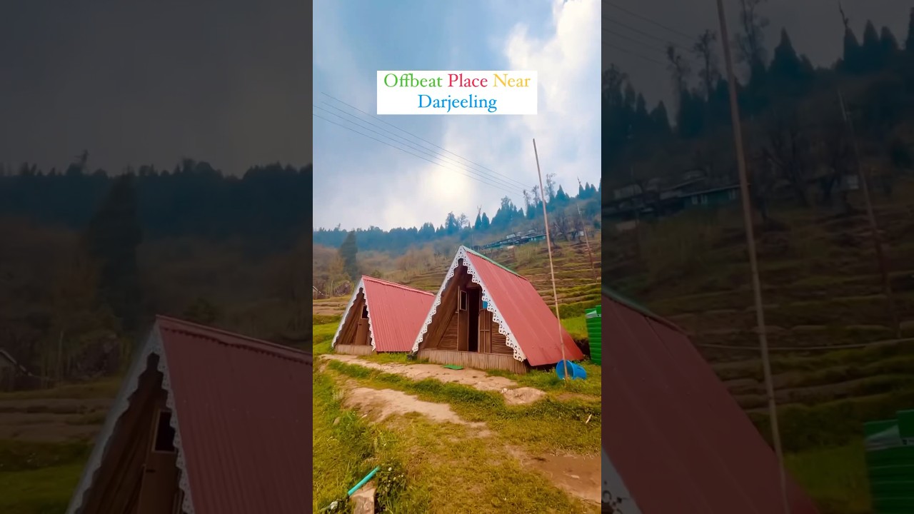 Offbeat Place Near Darjeeling🏕️ #offbeatdestination #northbengal #shorts