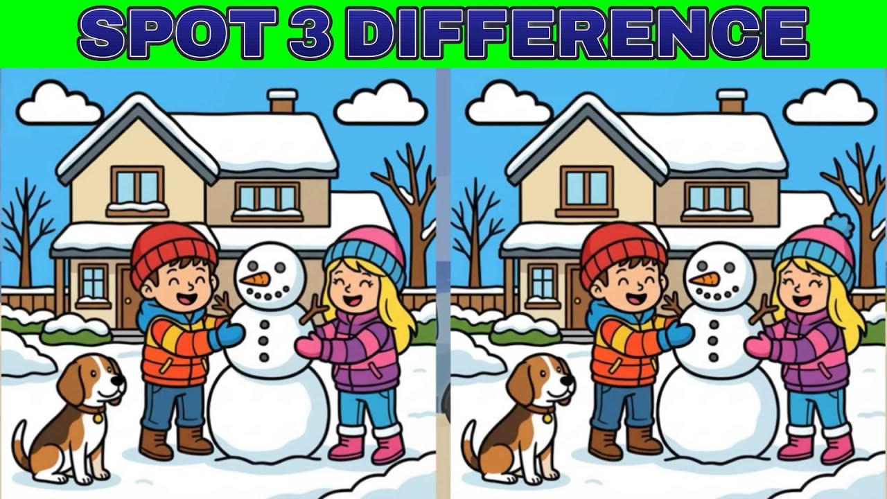 [Spot the Difference Brain Training] Use your sharp eyes and smart brain to solve this puzzle!