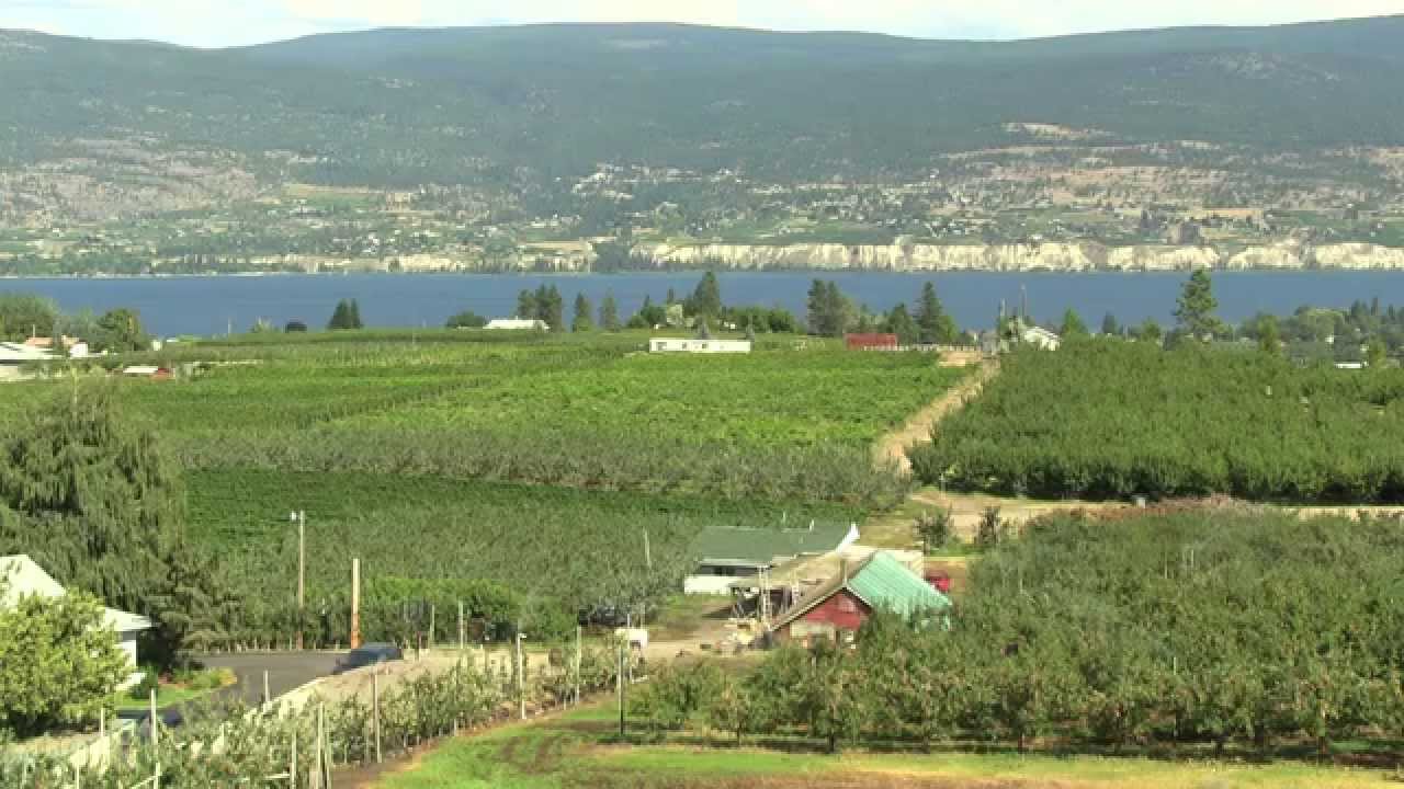 Farm Bag Fundraiser | Local Fruits and Vegetables