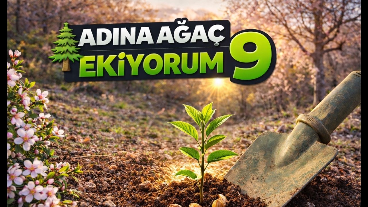 🌲ADINA AĞAÇ Ekiyorum 9️⃣ Ağaçlar Ne Kadar Karbon Emer? 🌟 Hedef: 1M 🌰 Toprakta 3600
