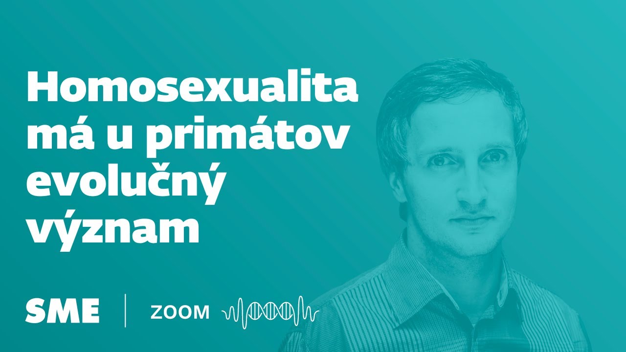 Homosexualita má u primátov evolučný význam