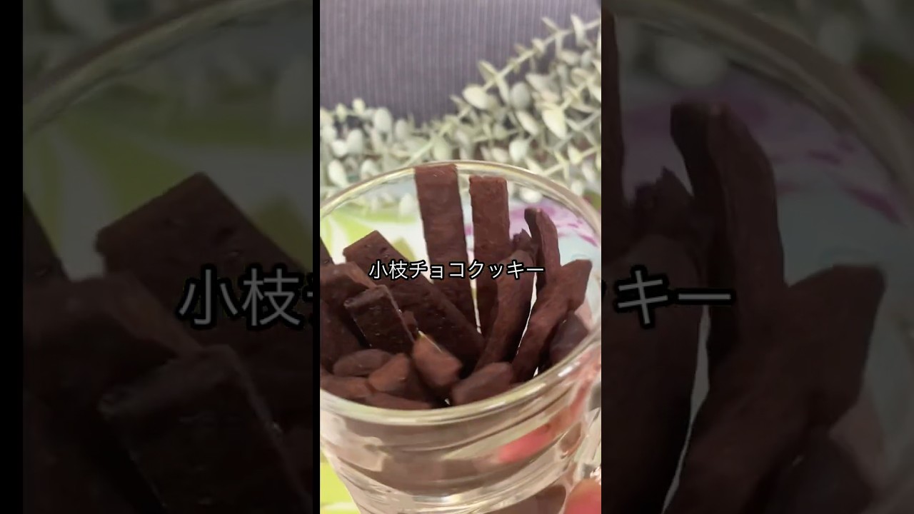 グルテンフリー米粉で作るポリポリ食感小枝風チョコクッキー#ダイエット #ダイエットスイーツ #簡単レシピ #無添加 #グルテンフリー #米粉スイーツ