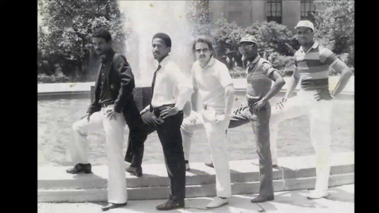 T.H.S. The Horne Section* ‎– Lady Shine (Shine On) 1984
